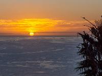 Zwei Vögel auf Palme und aufgehende Sonne am Horizont